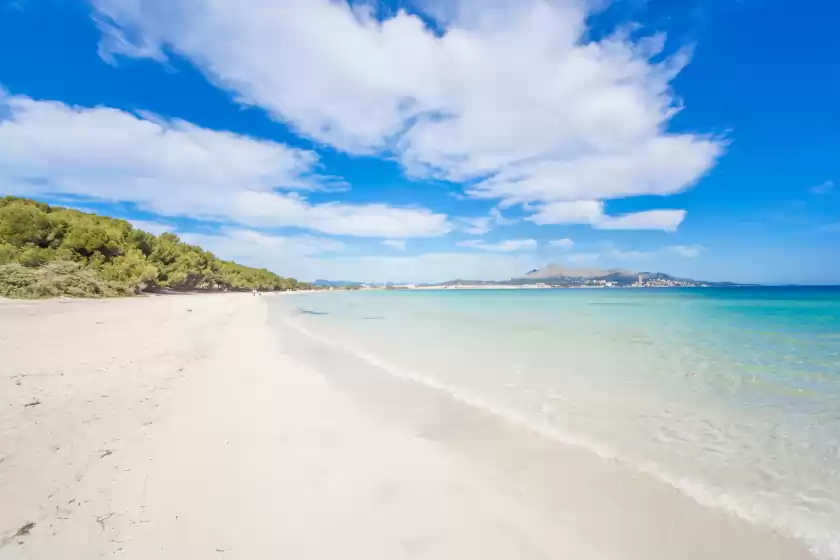 Holiday rentals in Sun of the bay vidalba 2 (b2 - a2), Port d'Alcúdia