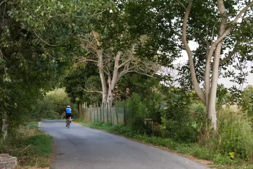 Ferienhaus auf El gaial, Arfa