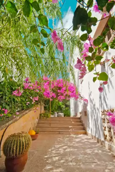 Alquiler vacacional en Escafandra, Port d'Alcúdia
