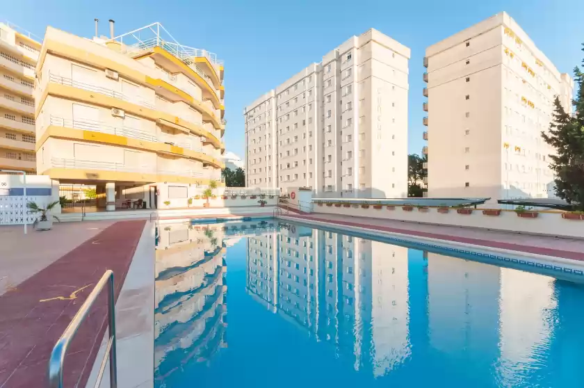 Alquiler vacacional en Begonia gandia