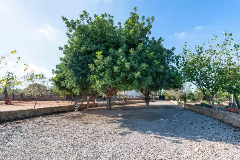 Alquiler vacacional en Can rosillo, Llucmajor