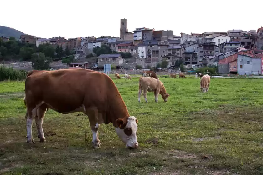Ferienhaus auf El recer, Arfa