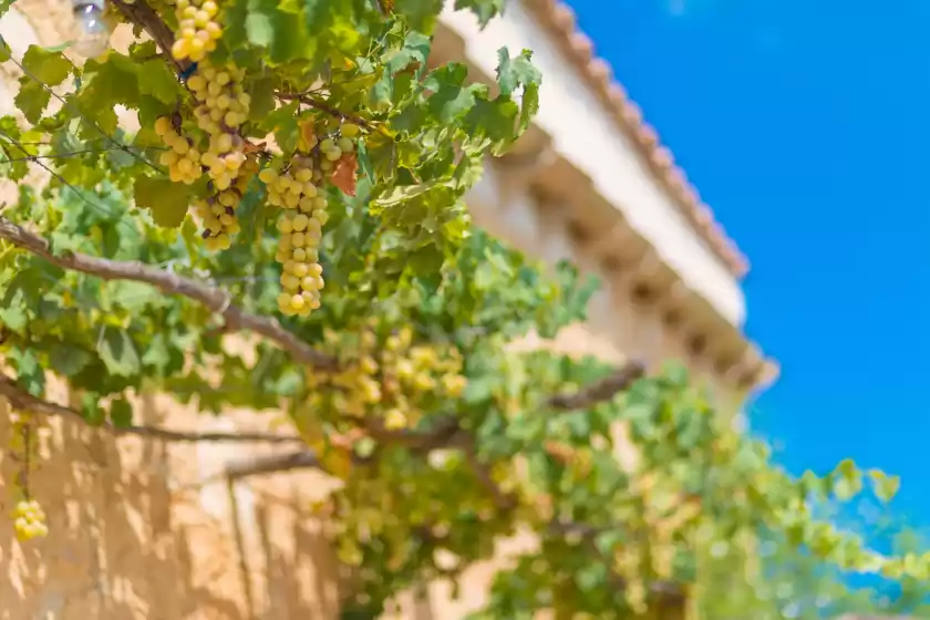 Ferienhaus auf Son jordi, Llubí