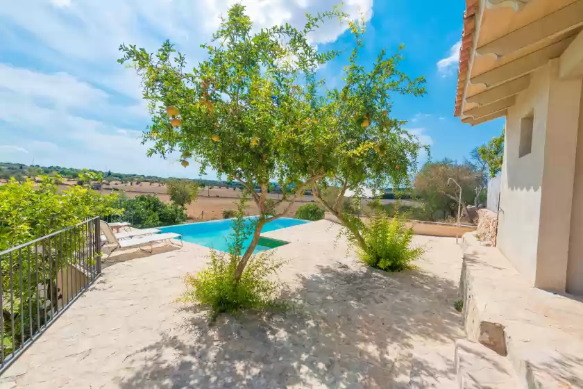 Ferienhaus auf Son jordi, Llubí