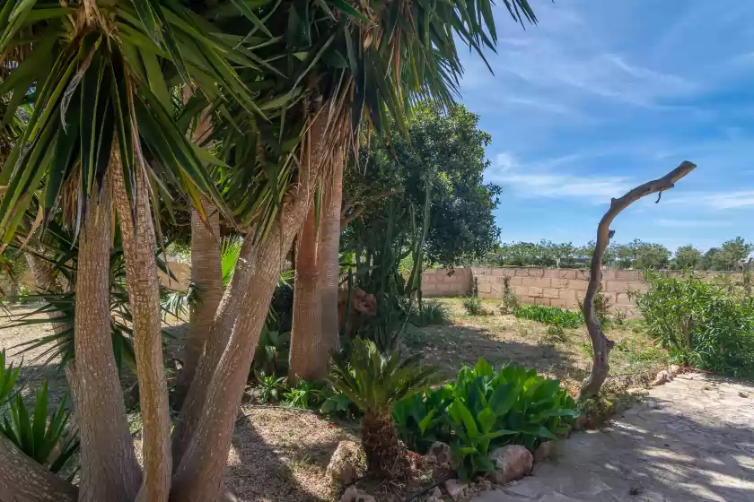 Holiday rentals in Short (short den rita), es Llombards