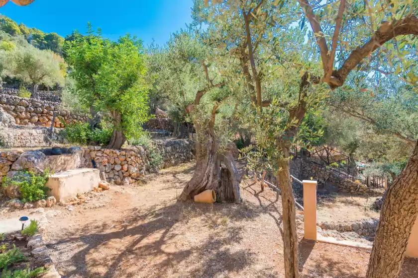 Ferienhaus auf Sa torreta de fornalutx , Fornalutx