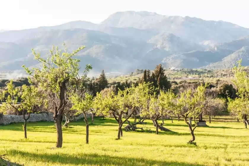 Ferienunterkünfte in Sa vinyota de can piti, Biniamar