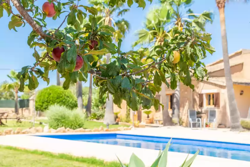 Ferienunterkünfte in Es coco de sa mola, s'Alqueria Blanca