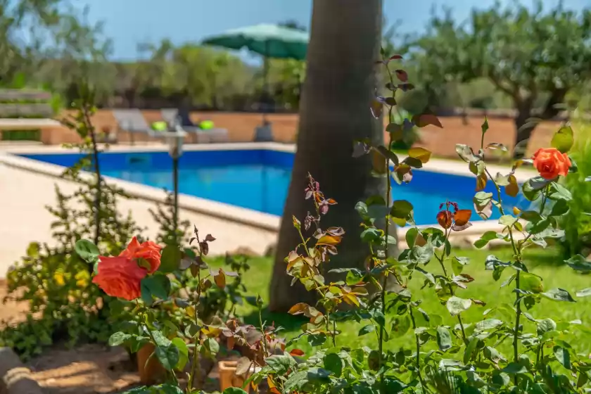 Alquiler vacacional en Es coco de sa mola, s'Alqueria Blanca