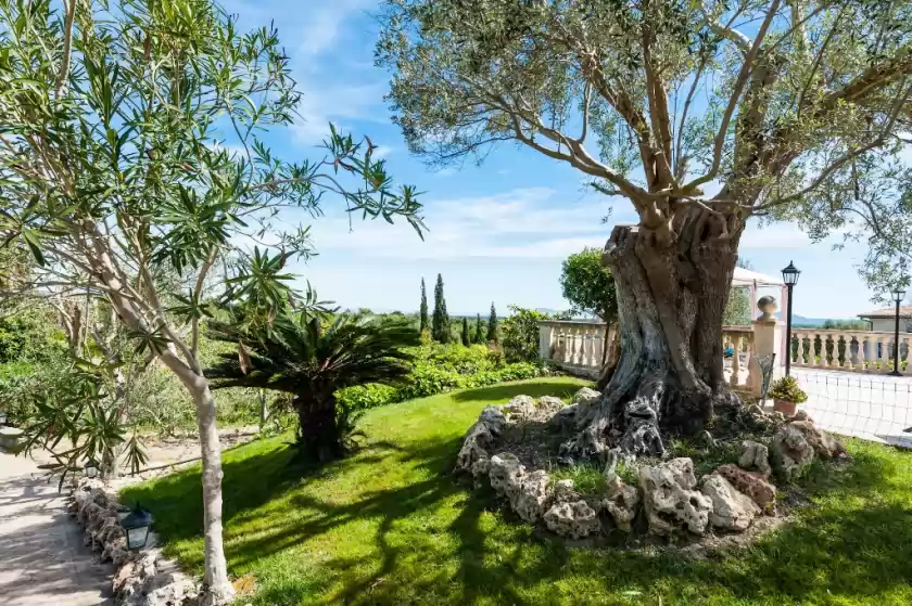 Alquiler vacacional en Vila, Santa Margalida