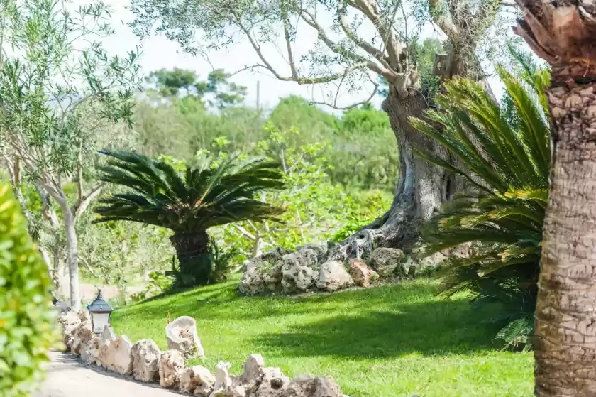 Holiday rentals in Vila, Santa Margalida