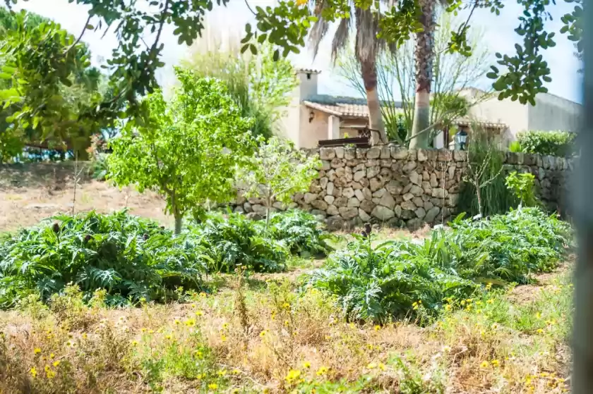 Ferienunterkünfte in Vila, Santa Margalida