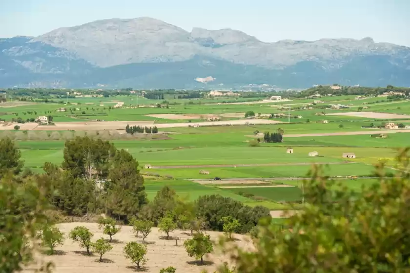 Alquiler vacacional en Vila, Santa Margalida