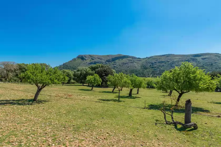 Alquiler vacacional en Son simó vell, Alcúdia