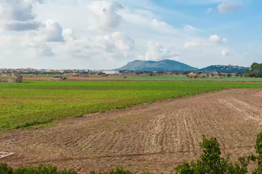 Alquiler vacacional en Son valenti, Sa Pobla