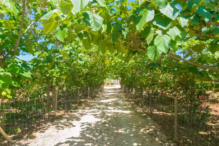 Holiday rentals in Es pla, Sant Llorenç des Cardassar