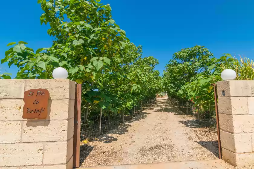 Holiday rentals in Es pla, Sant Llorenç des Cardassar