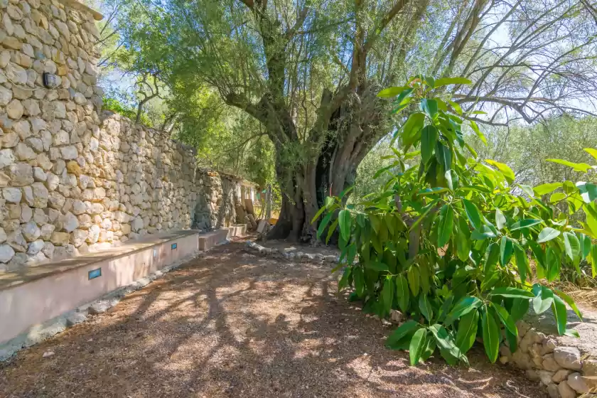 Ferienunterkünfte in La bisbal, Moscari