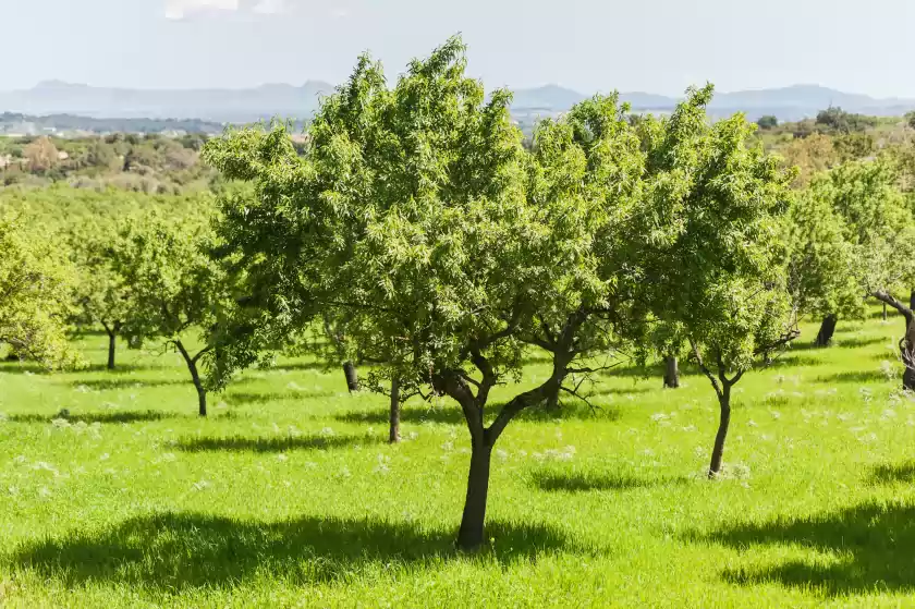 Ferienunterkünfte in La bisbal, Moscari