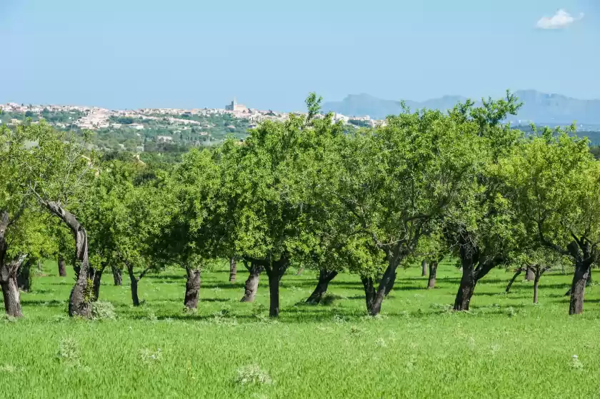 Alquiler vacacional en La bisbal, Moscari