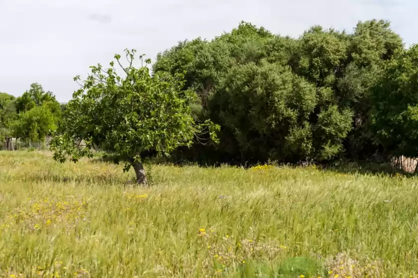 Holiday rentals in Montserrat, Jornets