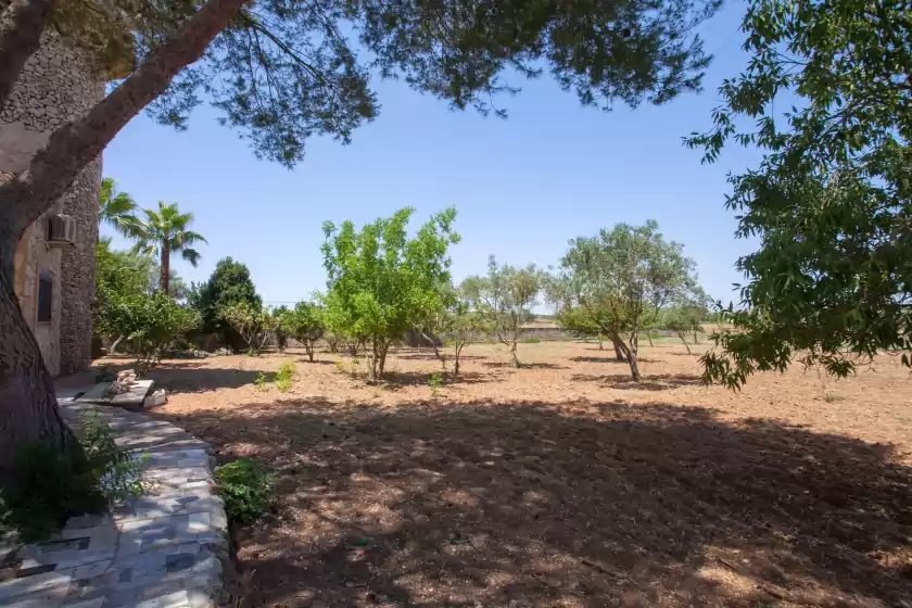 Ferienhaus auf Son gibert, Petra