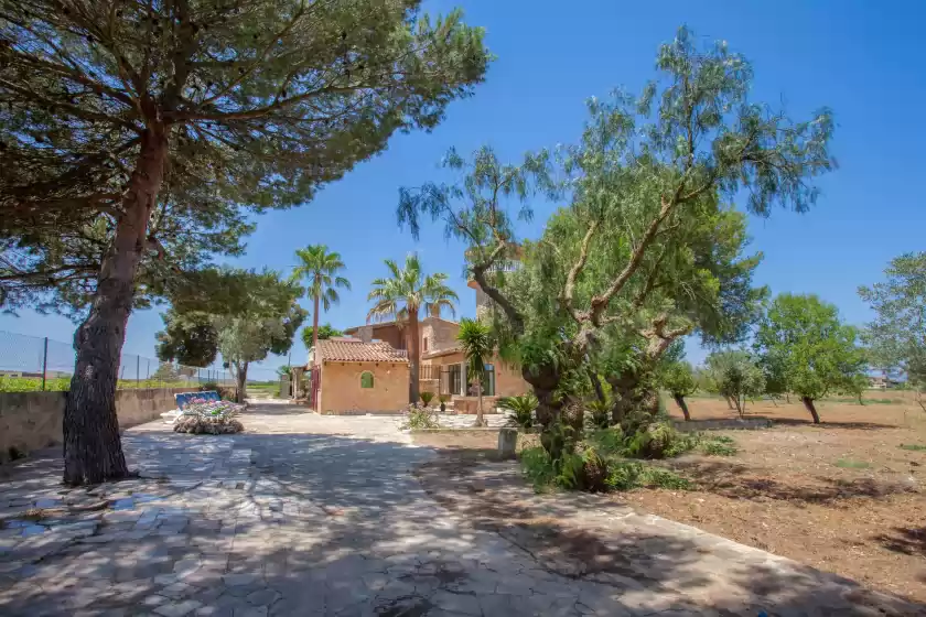 Ferienhaus auf Son gibert, Petra