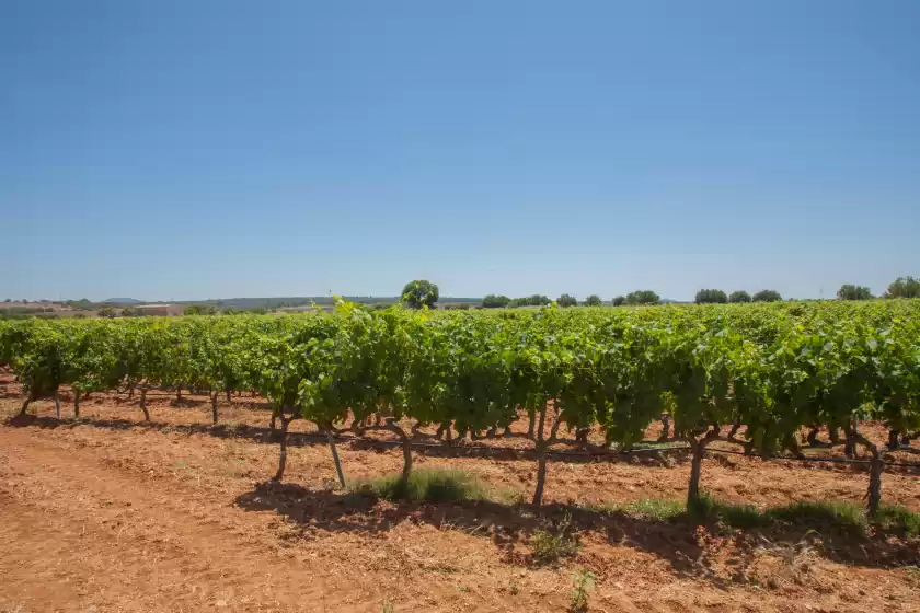 Ferienhaus auf Son gibert, Petra