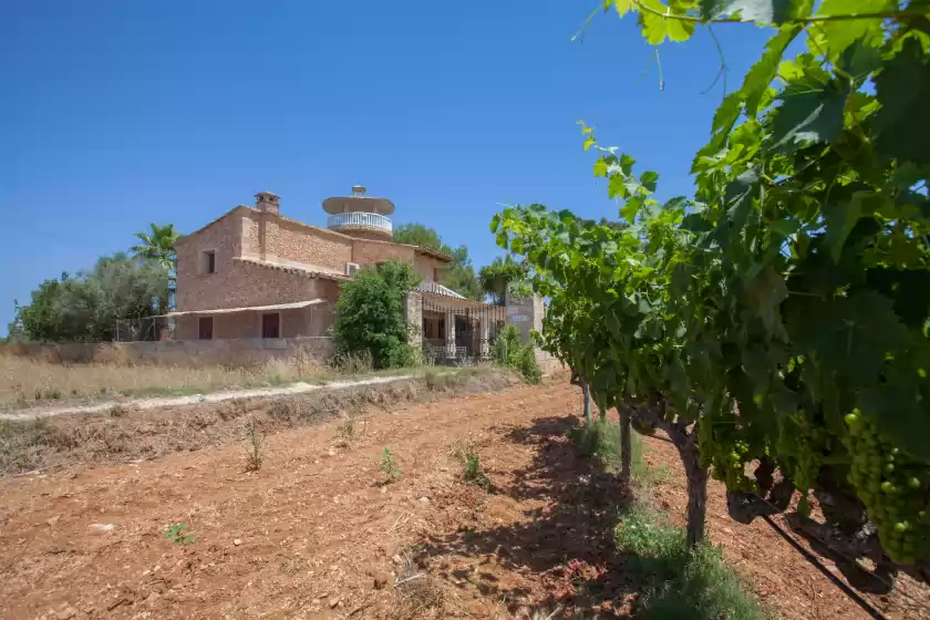 Ferienhaus auf Son gibert, Petra