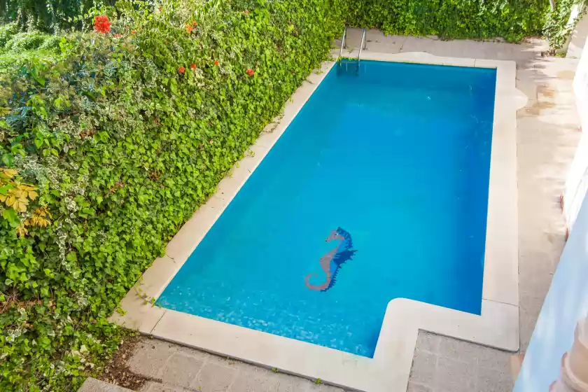 Holiday rentals in Villa esperanza, Platja de Muro