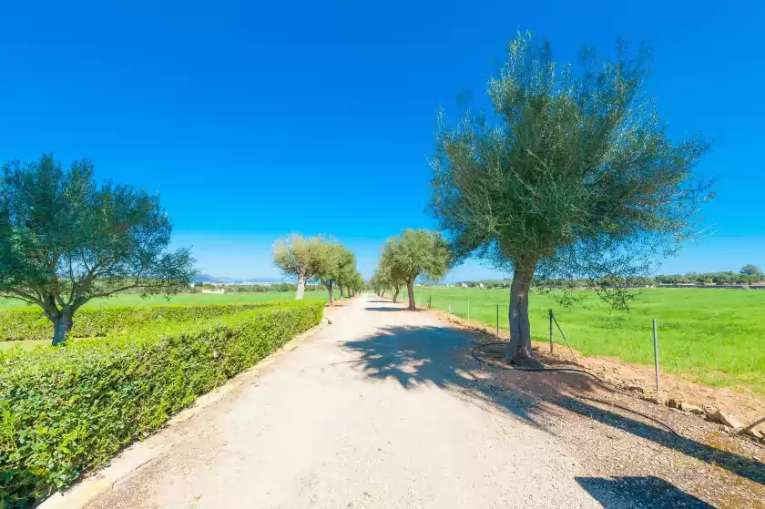Holiday rentals in Son parera de baix, Muro