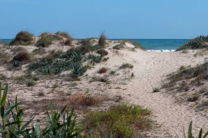 Holiday rentals in Sheila, Urbanització Platja d'Oliva