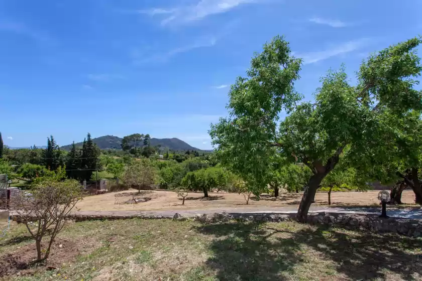 Holiday rentals in Es bosquet , Inca