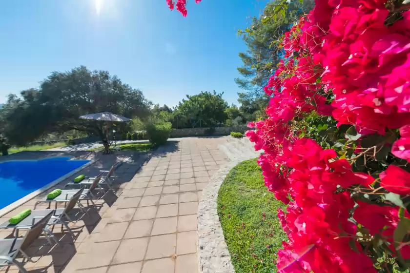 Holiday rentals in Es bosquet , Inca