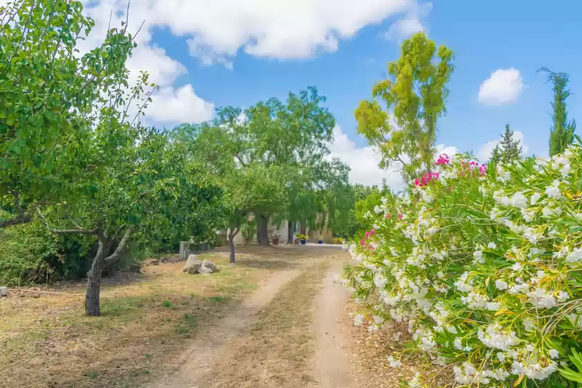 Holiday rentals in Nargonyana, Artà