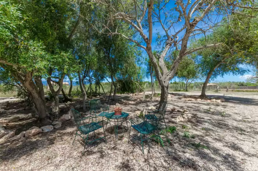 Holiday rentals in Son matet, Santa Eugènia