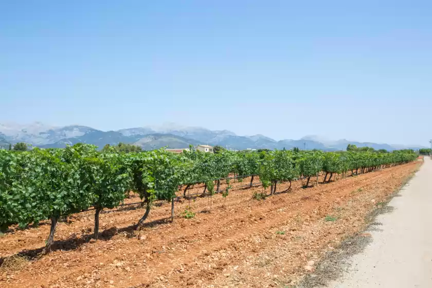 Alquiler vacacional en Can ferradura, Binissalem