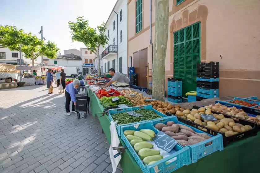 Alquiler vacacional en Sa casa vella, Vilafranca de Bonany