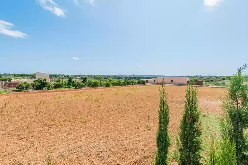 Ferienhaus auf Can portels, Llubí