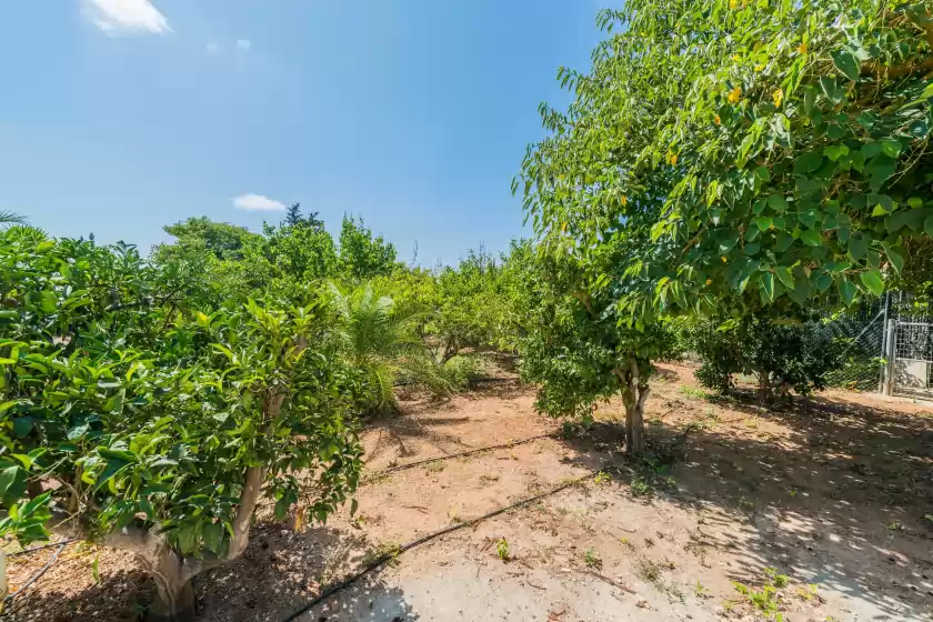 Ferienhaus auf Can portels, Llubí