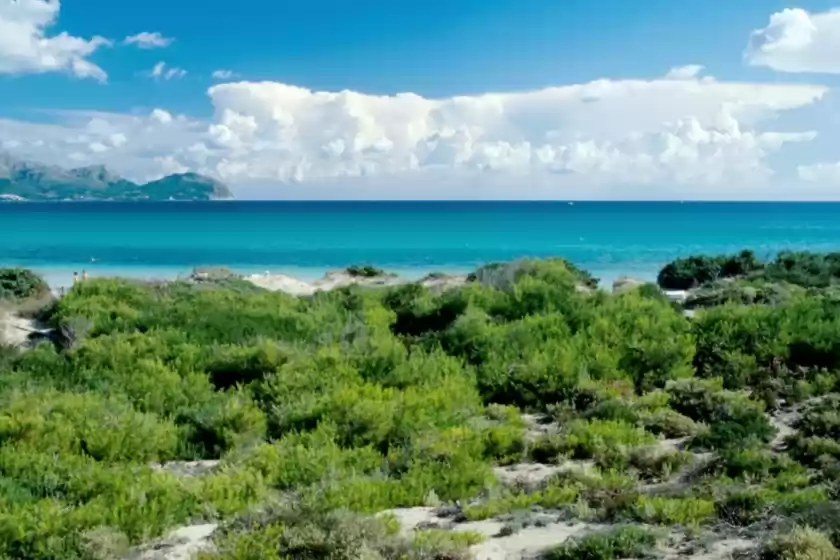 Location de vacances à Curling, Port d'Alcúdia
