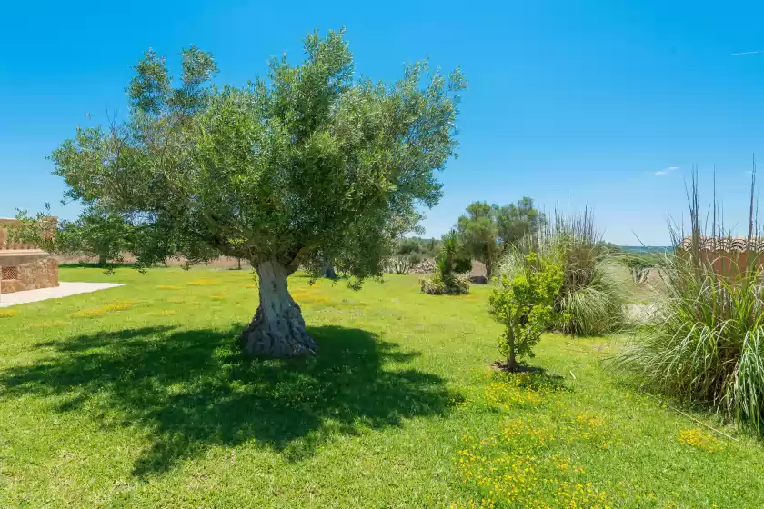 Holiday rentals in Birkadem, Santa Margalida