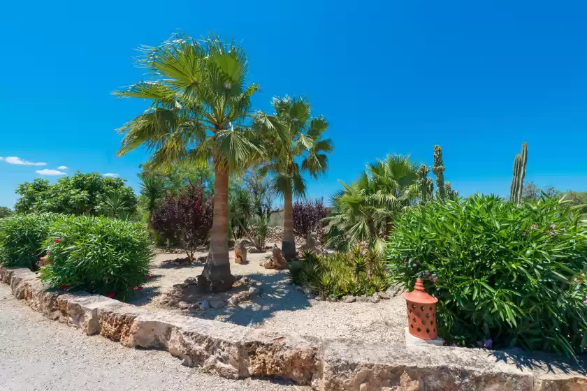 Holiday rentals in Birkadem, Santa Margalida