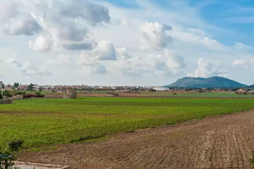 Holiday rentals in Townhouse can miquel, Sa Pobla