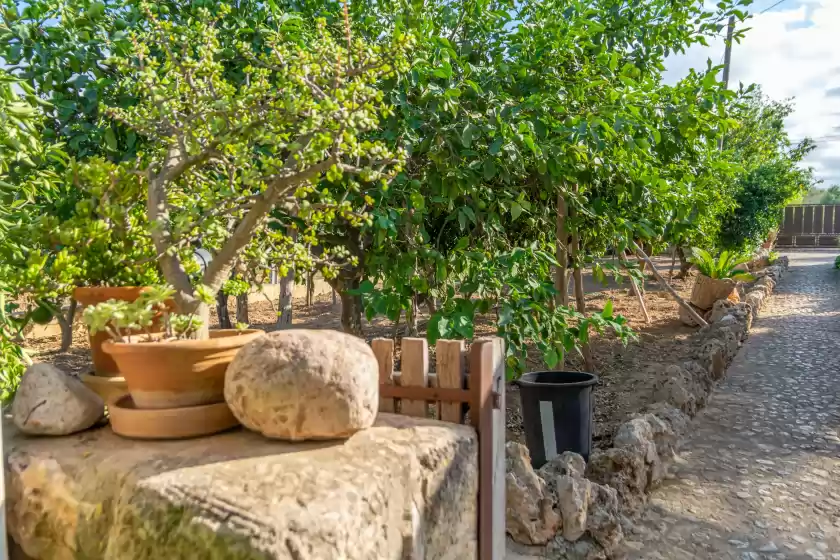 Holiday rentals in Finca son matginet 18, Sineu