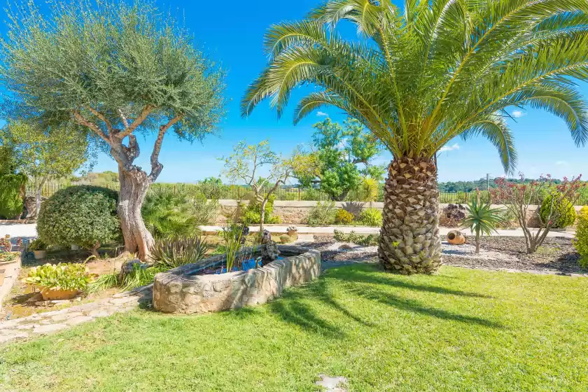 Holiday rentals in Es moli de salqueria, ses Alqueries