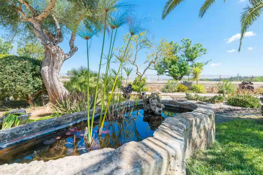 Holiday rentals in Es moli de salqueria, ses Alqueries
