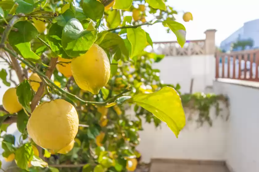 Alquiler vacacional en Villa germanor, Son Serra de Marina