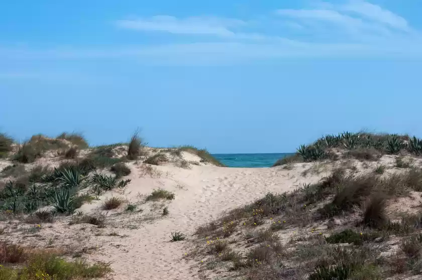 Ferienhaus auf Amadeus, Urbanització Platja d'Oliva