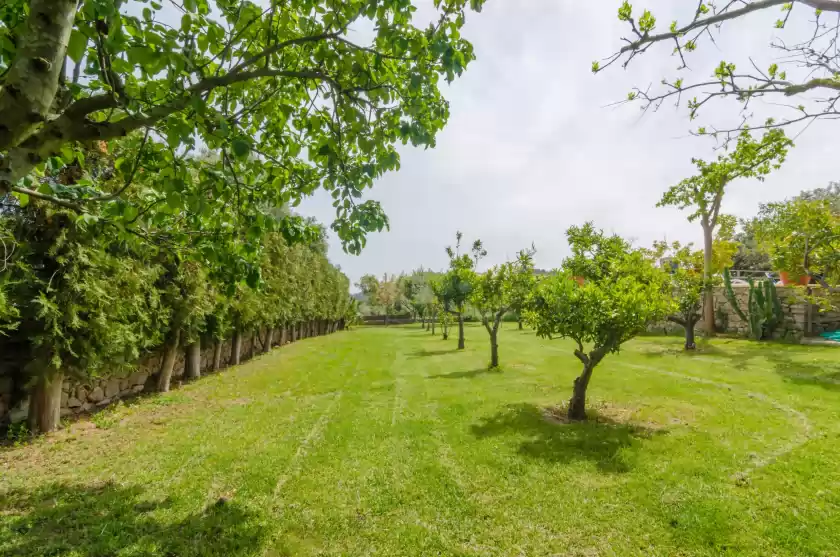 Alquiler vacacional en Es rafal de baix, Son Servera